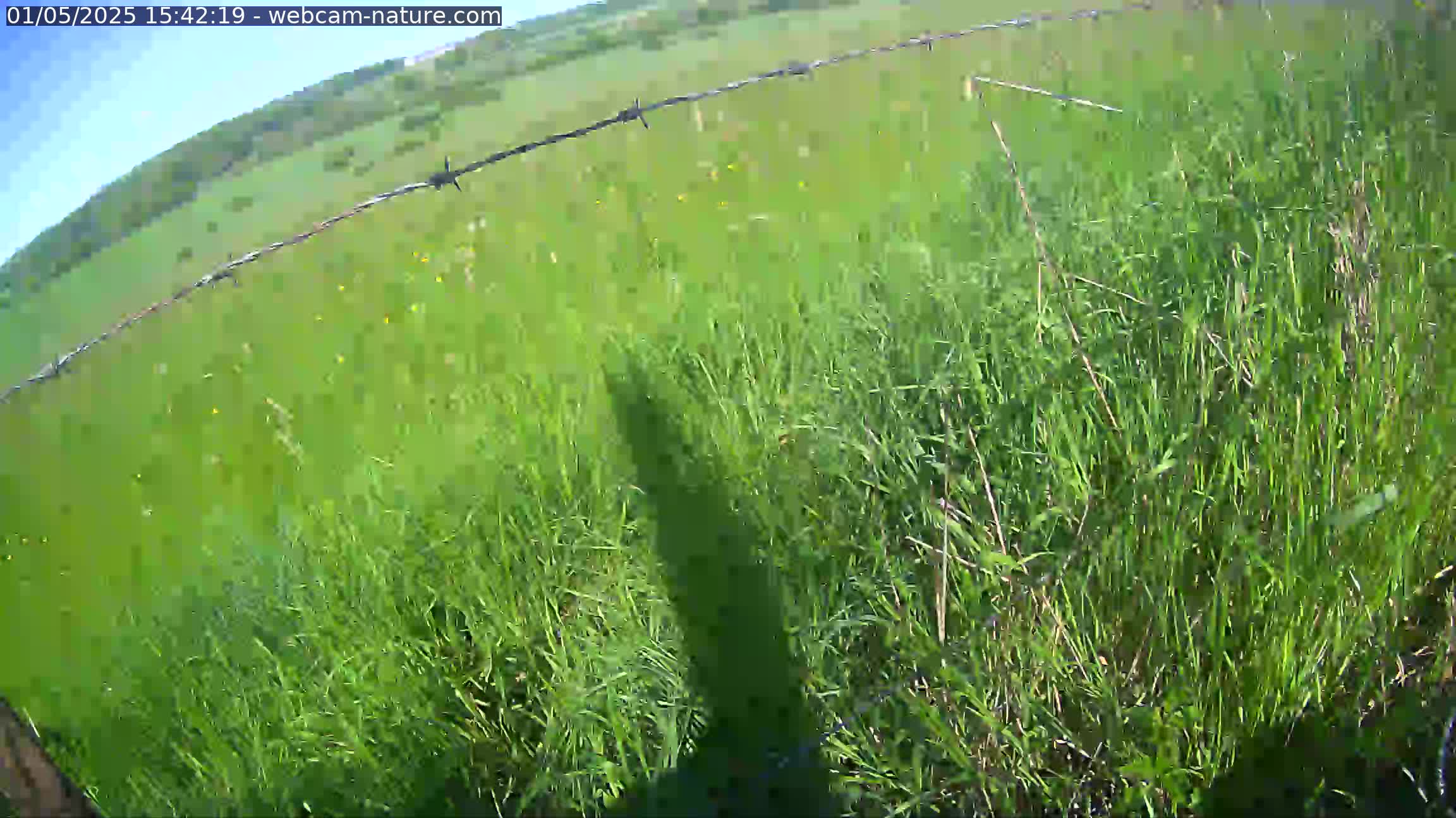 WEBCAM EN DIRECT DE LA CAMPAGNE LUXEMBOURGEOISE